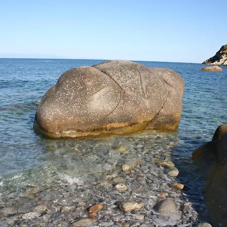 Turchese Pomonte (Livorno)